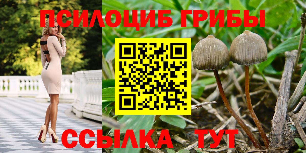 купить  цена  Галлюциногенные грибы мухоморы  Вход с VPN  Миасс 